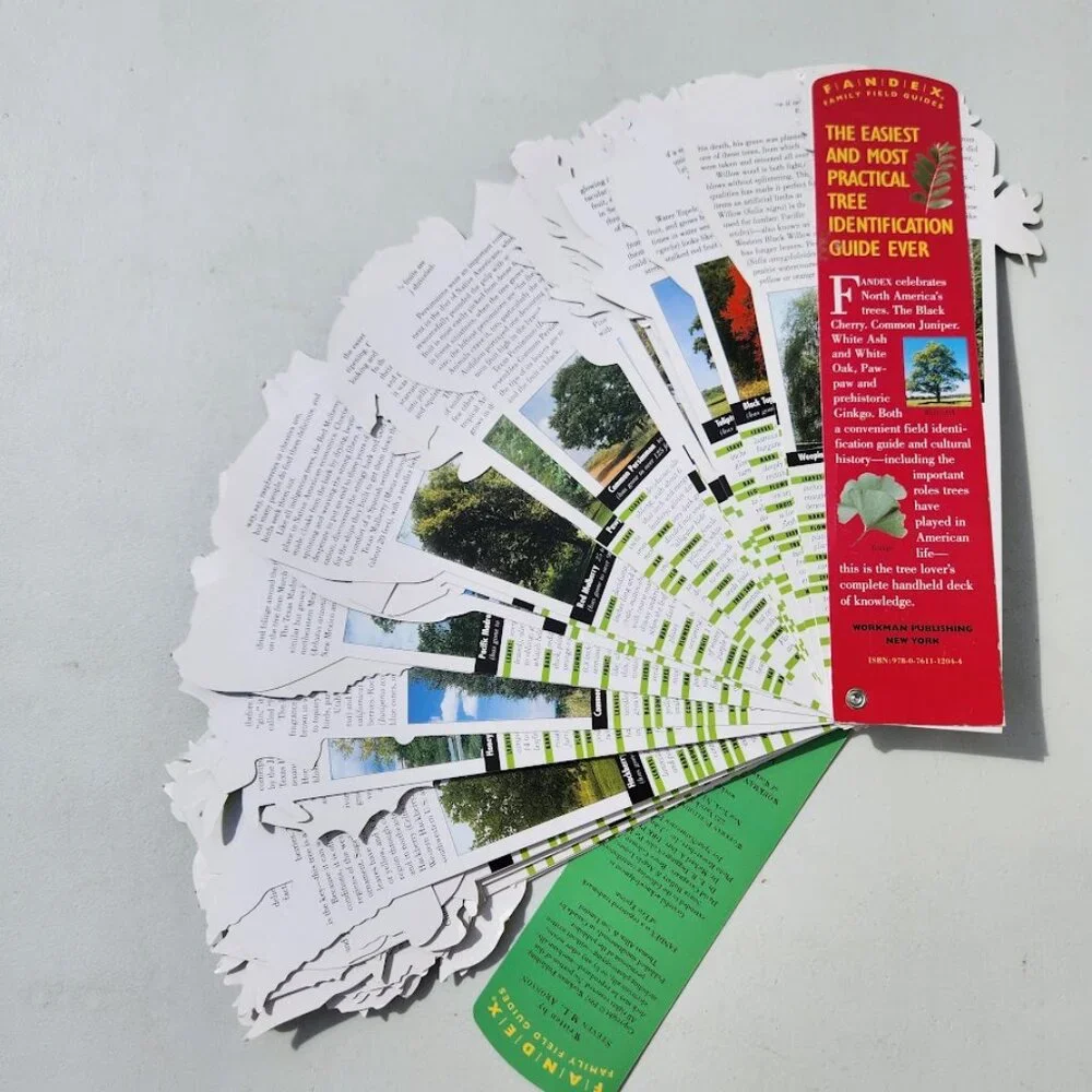 Trees North American Identification Pocket Field Guide Book Fandex Nature